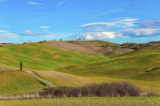 Travel to Tuscany. Sunny day at the beginning of winter. The famous picturesque and harmonious