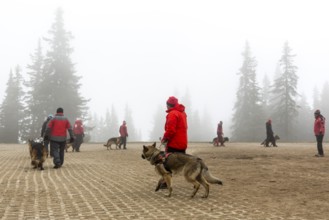 Sofia, Bulgaria - April 20, 2016: Men and their dogs at the search and rescue team at Bulgarian Red