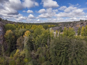 Meander, Las Hoces del Río Duratón Natural Park, Segovia province, Spain