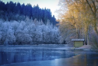 Beautiful winter landscape with ice and frost in the sunshine. Beautiful winter landscape with