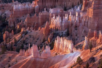 Scenic view of Bryce Canyon Southern Utah USA