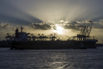 Sunset in the harbour