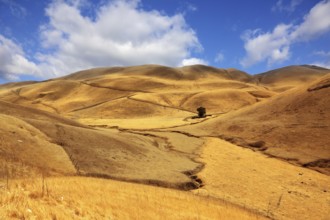 Autumn picturesque hills of California in October midday
