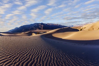 Light sand waves from the desert wind. Magic play of light on the sand. Mesquite Flat Sand Dunes is
