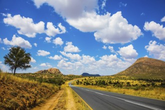 The good asphalt highway in Namibia. Low trees and autumn yellow grass of savannas