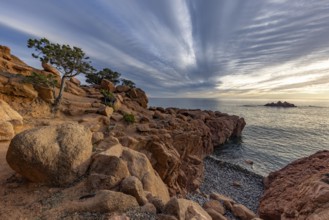 Coastal landscape with bizarre, red rocks and weathered, gnarled trees at sunset over the sea,