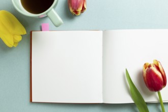 Empty note paper with tulip flowers, black coffee on mint green background. flat lay, top view,