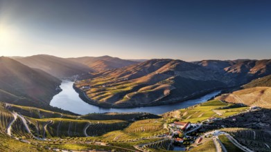 Terraced Portuguese vineyards near Nagozelo do Douro, where port wine is produced