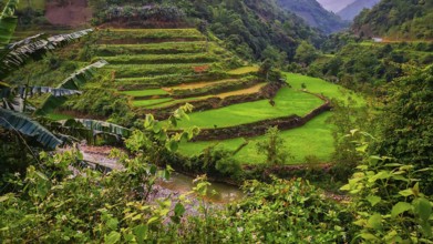 Typical Vietnamese landscape in spring with green vegetation