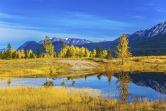 Exquisite Abraham Reservoir Lake with turquoise water. Warm September in the mountains of Canada.