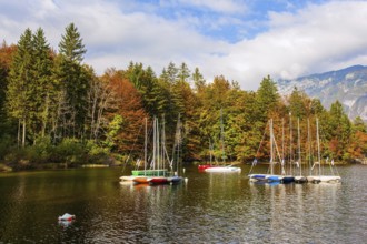 Slovenia. Sailing yachts and motor boats. Magnificent lake with clear water is surrounded by dense