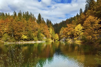 Lake Fuzine. Border between Northern Italy and Slovenia. Orange, yellow and red trees are reflected