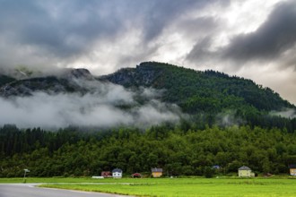 Lush green grass in the hollow. Jostedalsbreen Park. Cold summer in Norway. Valley surrounded by