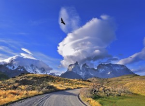 National Park Torres del Paine in southern Chile. A dirt road leads to the distant mountains. A