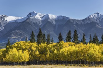 The first snow has already fallen on the peaks. Great Canadian Rockies. Scenic shores of Abraham