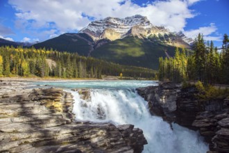 Athabasca Falls, popular with tourists. Rocky Mountains of Canada. The Athabasca River begins at
