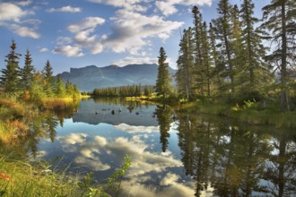 Lake, reflections of clouds and fur-trees and mountains in the distance