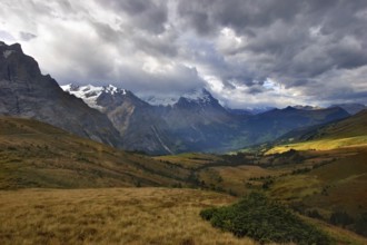 A meadow highly in the mountains, shined by the sun, ud clouds