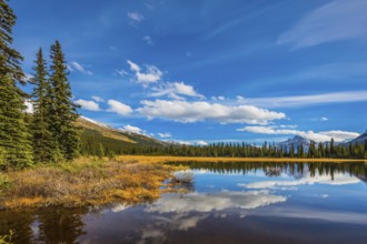 Swamp in the valley of the Rocky Mountains. Clouds are reflected in smooth water. Autumn in Canada.