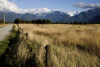 Fox Glacier New Zealand Rural dirt road Southern Alps