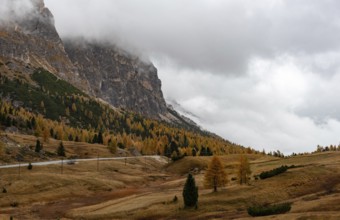 Autumn forest landscape at Passo Falzarego valley. Dolomite mountain range Italy. Fall season