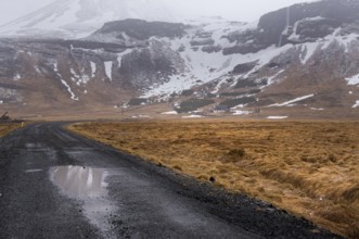 Empty rural road leading to a snowcapped mountain. Icelandic landscape