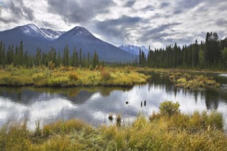 Fine ripples on cold lake of northern mountains of Canada