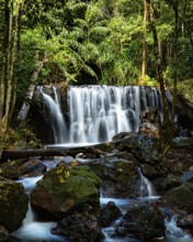 A serene waterfall cascades over rocks surrounded by lush greenery in a tropical forest, landscape,