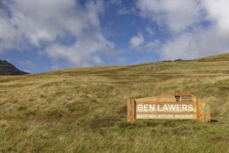 Ben Lawers National Nature Reserve, nature reserve on the second highest mountain, Highlands,