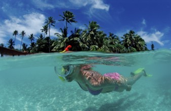 Snorkelling off Maldives Island, Maldives, Indian Ocean, Medhufushi, Meemu Atoll
