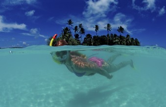 Snorkelling off island, Maldives, Indian Ocean, Meemu Atoll