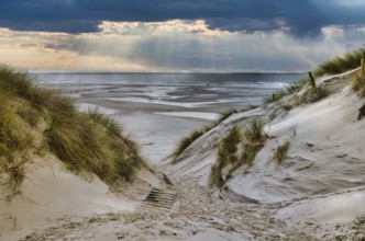 Dunes at the Beach of Amrum, Germany
