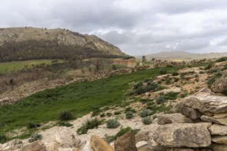 Calatafimi-Segesta, Italy, 4 January, 2024: landscape of Segesta with the ancient Greek temple