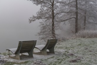 Two wooden benches on a frosty bank with misty trees creating a calm and cold winter landscape,