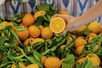 Sale of oranges and orange juice with local produce, Fira de Sa Taronja, Soller, Mallorca, Balearic