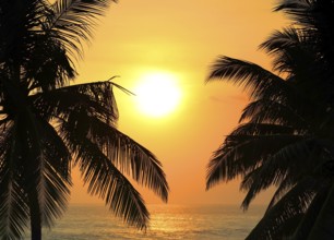 Beautiful landscape with tropical sea sunset and palm trees on foreground