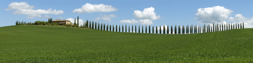 Tuscany landscape panorama with farmhouse and cypresses at sunny day. Province of Siena, Italy