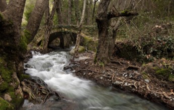 Autumn landscape landscape with river flowing below a stoned bridge