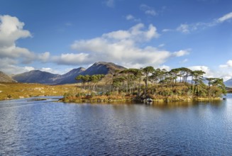 Landscape with lake from Pines Island Viewpoint in Galway county, Ireland