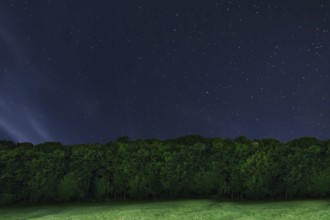 Night forest background. Night starry sky. Night sky with stars