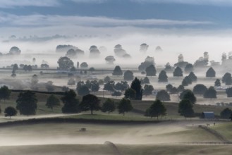 Great pasture landscape in the early morning in Matamata, North Island of New Zealand
