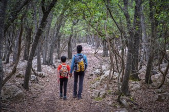 Camino de la Fita del Ram, Esporles, Paraje natural de la Serra de Tramuntana, Mallorca, balearic
