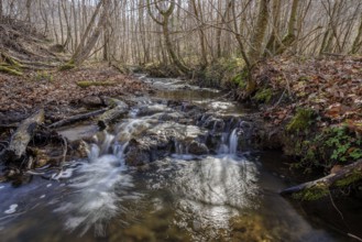 Small waterfall flows through wooded terrain, Stöckenhof, Bodanrücken, Allensbach, Lake Constance,