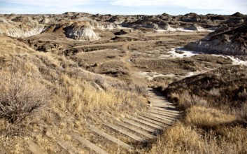 Badlands Alberta Drumheller and Dinasaur Park Canada