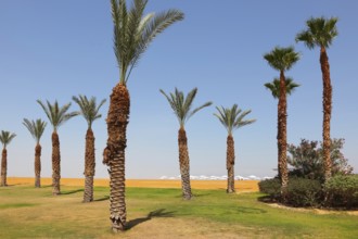 Deserted beach of a luxury hotel in Dead Sea in Israel. Sunny spring day