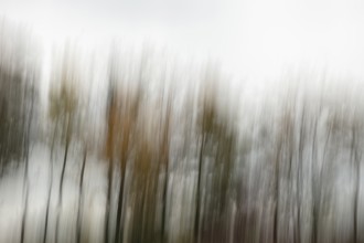 Bewegungsunschärfe bei Laub und Bäumen im Herbst