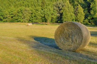 Evening mood over a summer landscape