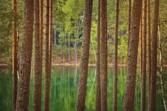Smal Lake in the Forest. Aglona District, Latvia Aglona, Latvia