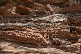 Detail of the Geiersteinfelsen, Geierstein, sandstone, Palatinate Forest, Bruchweiler-Bärenbach,
