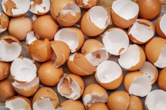 Broken chicken empty brown eggshels background